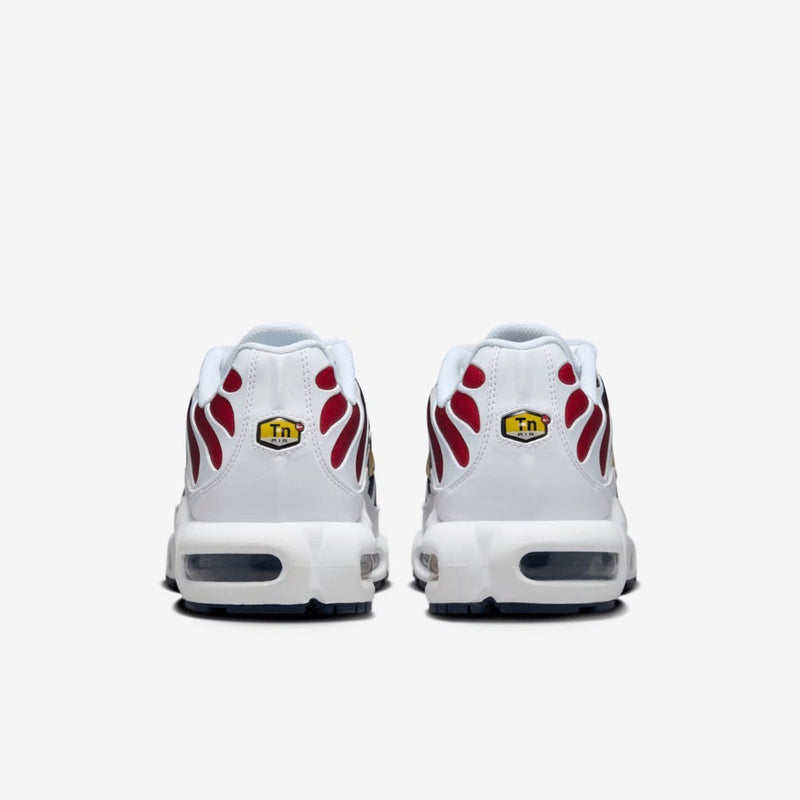 Air Max Plus TN PSG